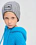 WH26051 Шапка, Тм.Серый