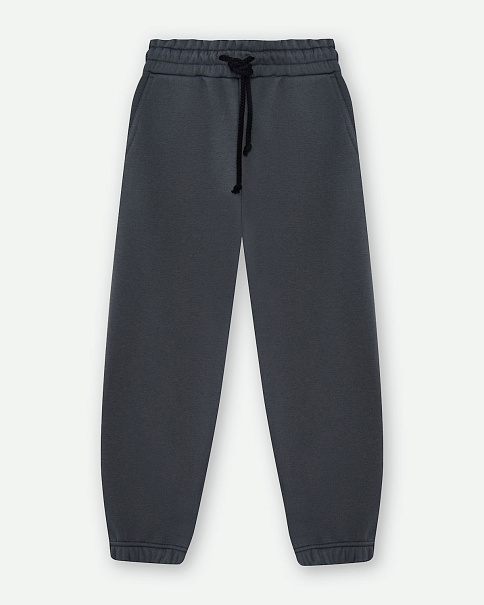 WL23209 Брюки, Тм.Серый