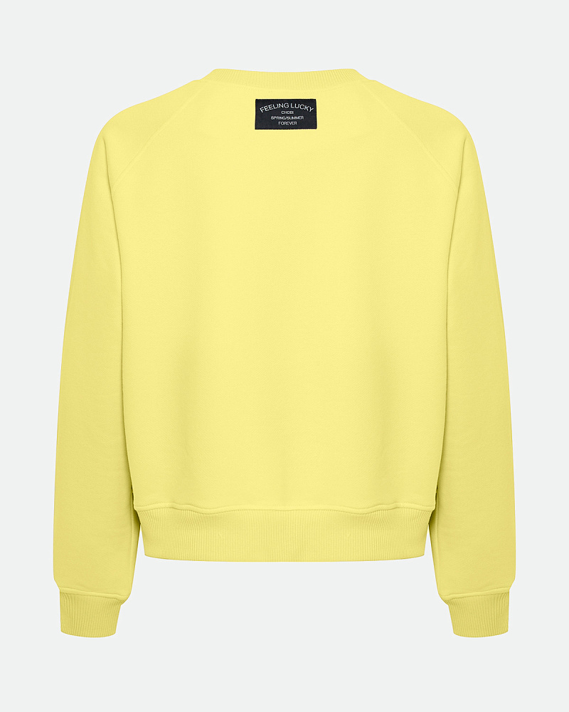 SJ25172-25 Толстовка, Желтый
